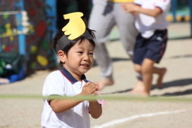 2歳児 運動会 親子競技 保育園